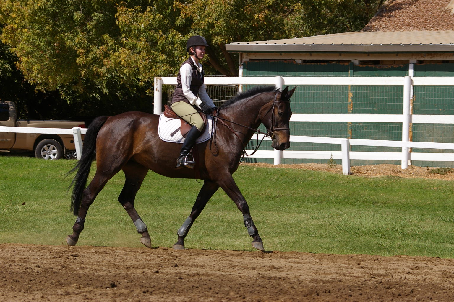 Balance Point Training Horseback Riding Lessons & Equestrian Services